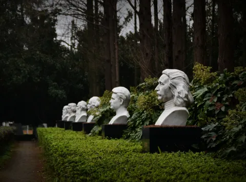 Waarom ook natuurwetenschappers baat hebben bij filosofie