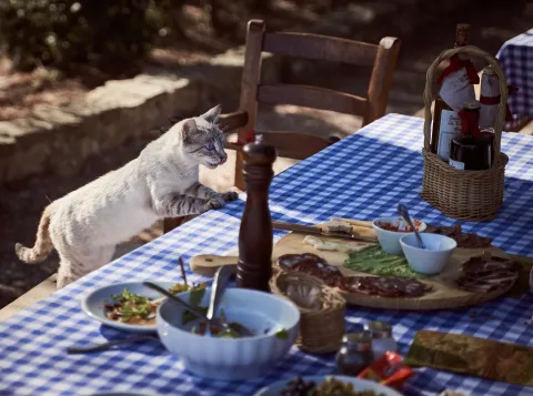 Ben jij ook wel eens ‘hangry’?