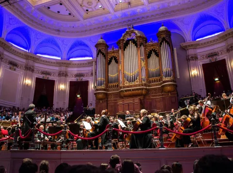 Cultural taste may help in gaining access to the upper class