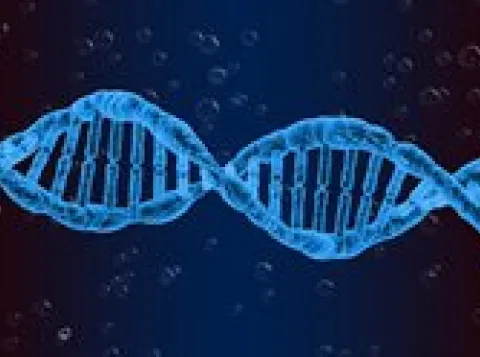 Toekomst van dataopslag schuilt in microbolletjes met DNA