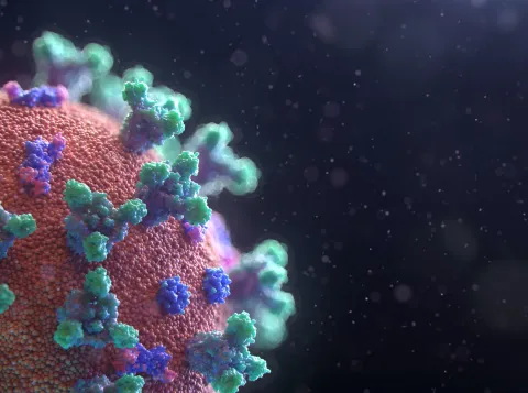 Blootstelling aan kinkhoest verbetert de reactie op een boostervaccin