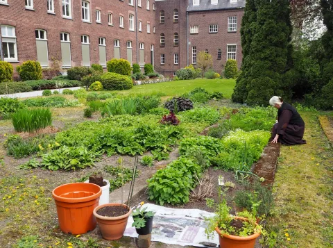 Supporting green parishes and congregations