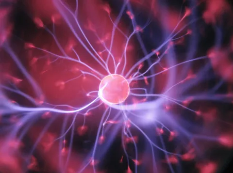 Brain basics: How the brain becomes adult