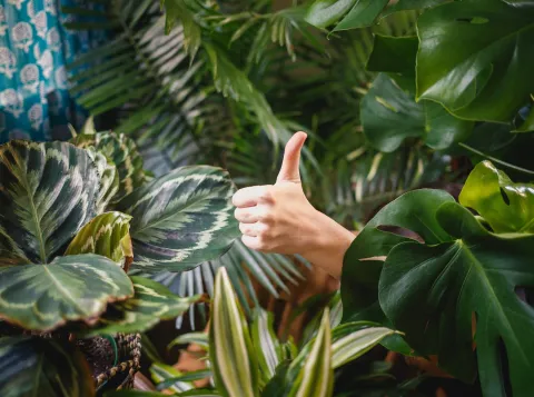 The good, the bad and the ugly of praise