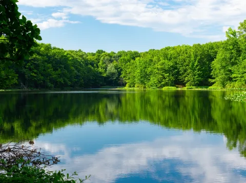Warmer lakes harbor slower methane consumers