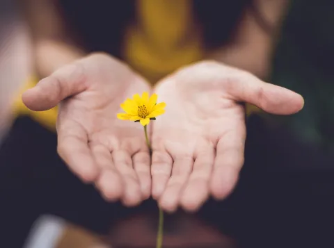 Gratitude is good for you