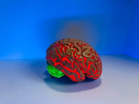 Onderzoek naar betere communicatie tussen machines en het brein