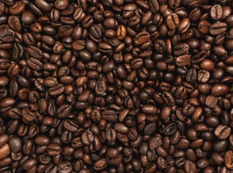 Is reducing consumption the ultimate solution?