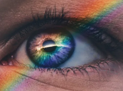 The mind’s eye is like a real eye