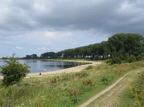 Ooijpolder wordt proeftuin voor natuurherstellers