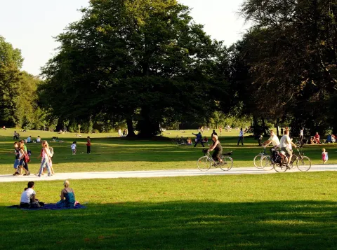 Ga je meer bewegen als je dichtbij een park woont?