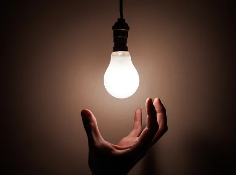 Why inspiration doesn’t grow on trees
