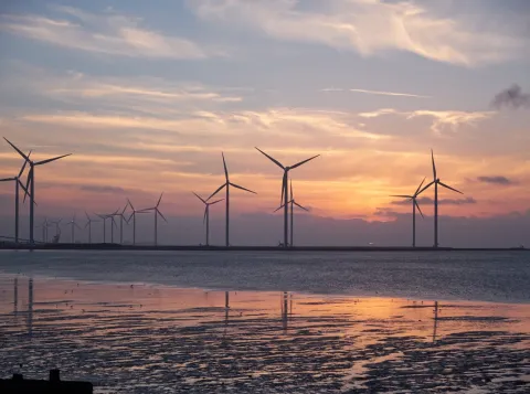 Hervorming energiesubsidies vereisen stap-voor-stap-aanpak