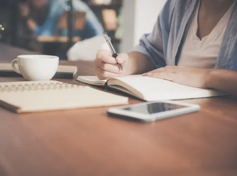 The role of language in government errors