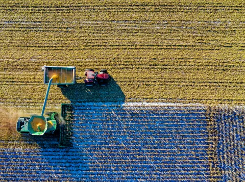 Hoe krijg je boeren aan de duurzame landbouw?