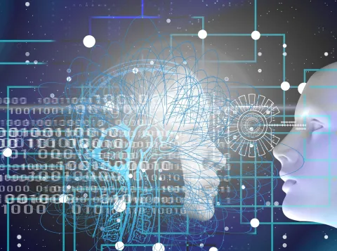 The first steps toward a quantum brain