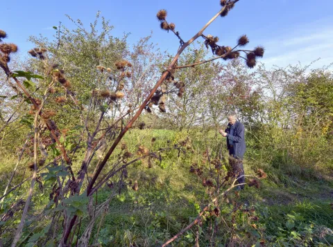Met boeren werken aan biodiversiteit