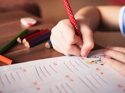 Eerste academische juffen en meesters studeren deze zomer af