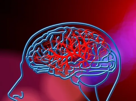 Brain blood flow and brain functions are related - but how?