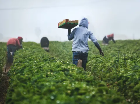 Inhumane conditions surrounding migrant workers