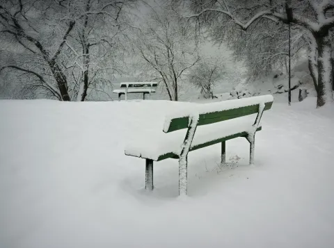 Laat een Snowface je brein uitdagen