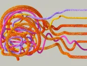 Different coloured lines that form the structure of a human head