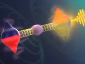 Magnon-phonon Fermi resonance 