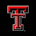 Logo Texas University