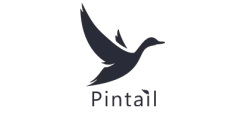 Logo Pintail