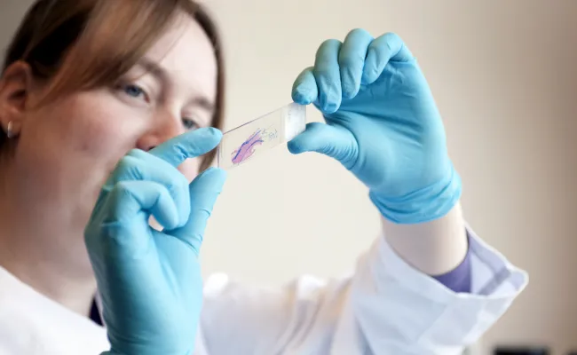 Medical Epigenomics