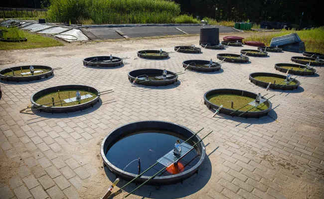 Aquatische ecologie - testvijvers op campus Radboud Universiteit