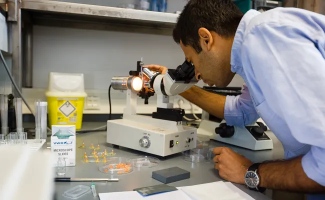 Researcher Synthetic Organic Chemistry