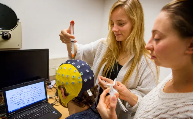 Brain research