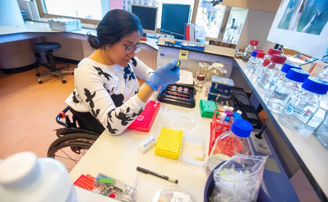 Women at work in molecular biology department