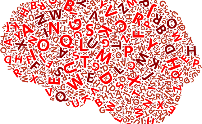 Donders Institute brain language and communication