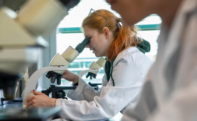 Studenten Biologie in een lab achter een microscoop