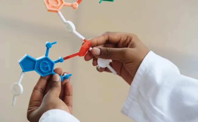Een onderzoeker houdt een model van moleculen vast.