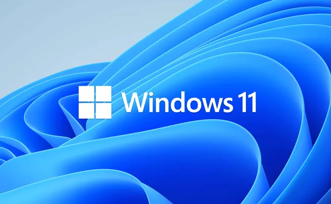 Windows 11 logo