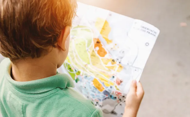Give gifted children more control over their own learning