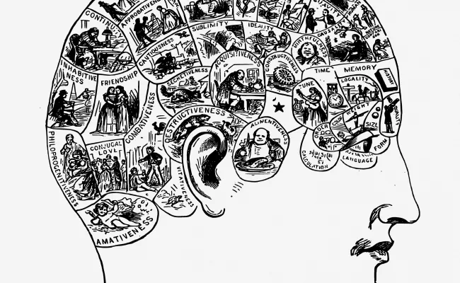 Creating maps of the human brain: brain atlases