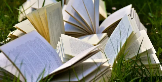 boeken buiten