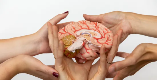 Brainchain