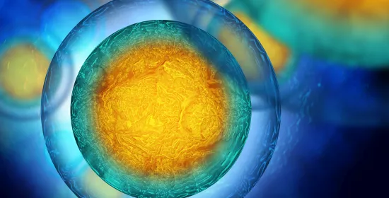 Human cells
