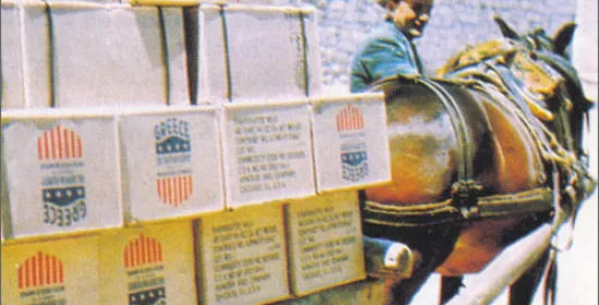 Donkey carrying boxes with Marshall aid