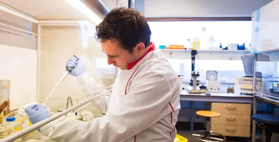 Biomolecular Chemistry RIMLS researcher