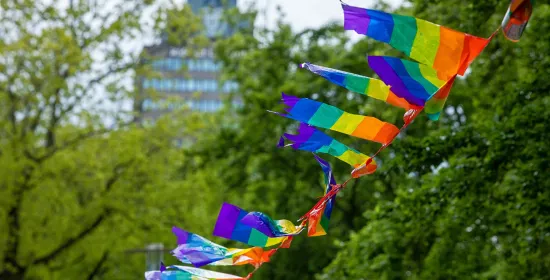 Rainblow flags waving in the wind