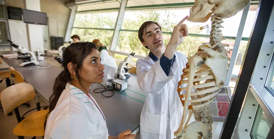 Laboratory Biology