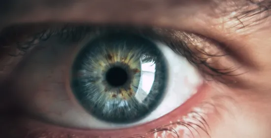 Zoomed in picture of an eye