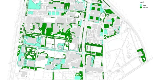Campuskaart met gazon en ruw gras