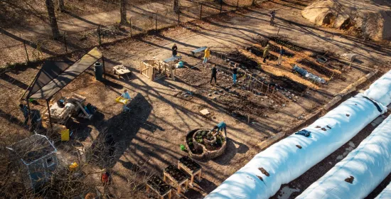 Werken in de universitaire moestuin